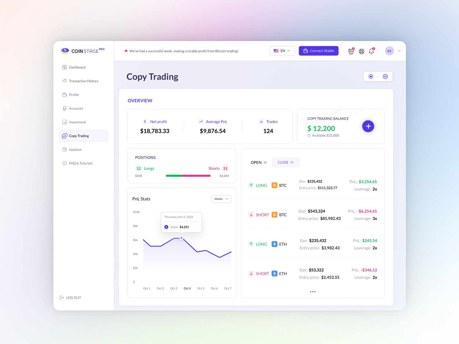 Portfolio preview 6