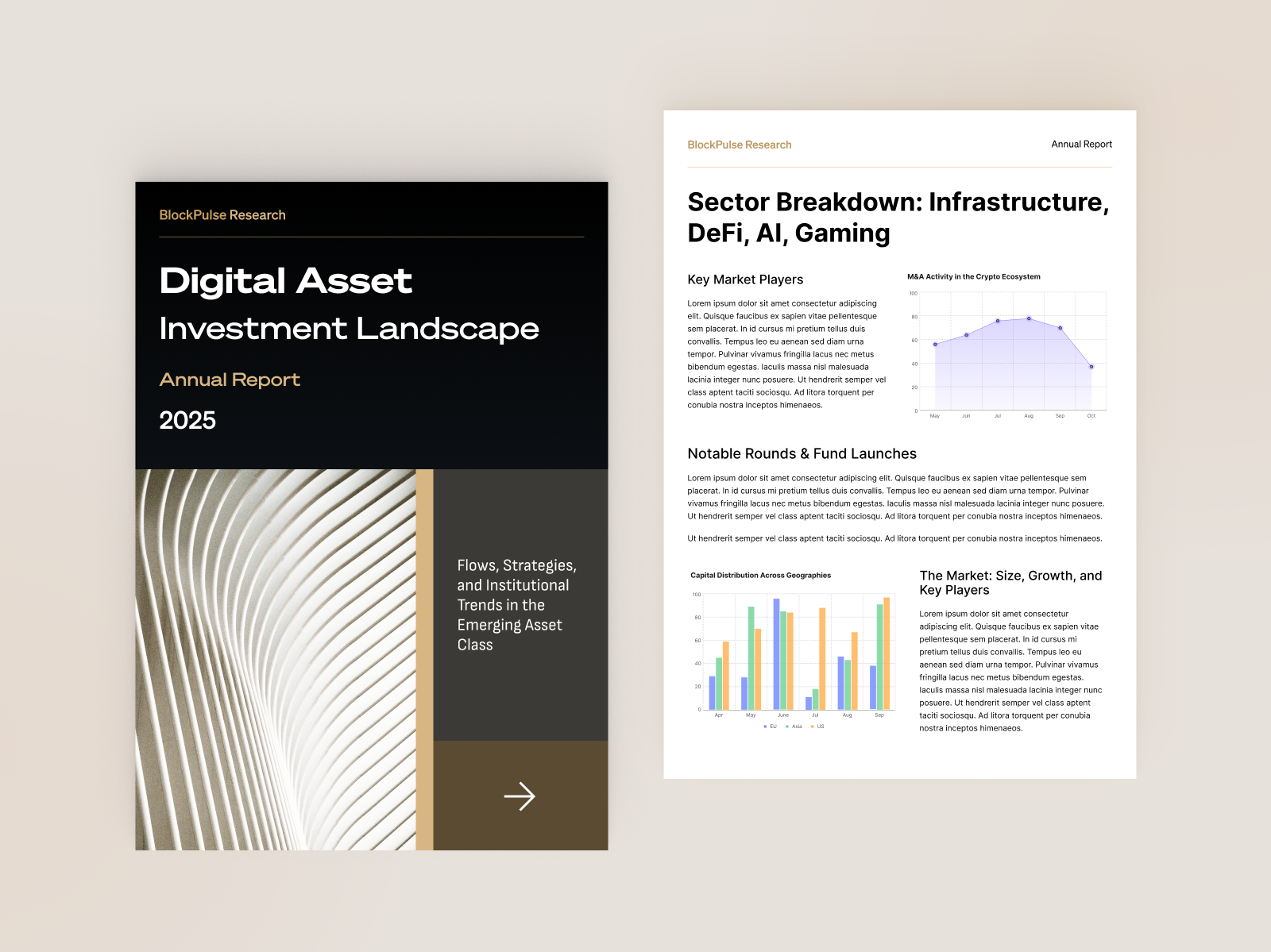 Portfolio preview 5