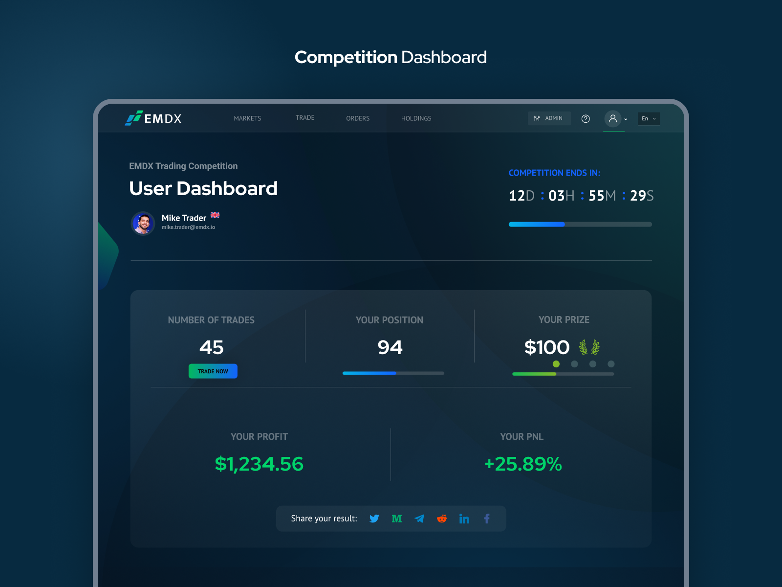 Portfolio preview 6
